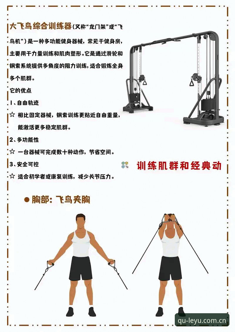 新手必看！LEYU怎么使用才能最大化发挥体育数据工具的价值？